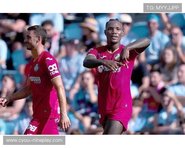 足球球星传奇之路：从草根到巅峰的奋斗与荣耀